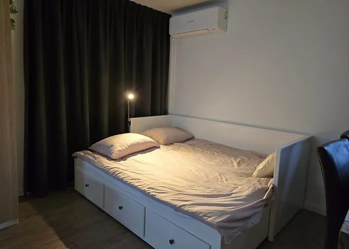 Amnesia היירהוחברד